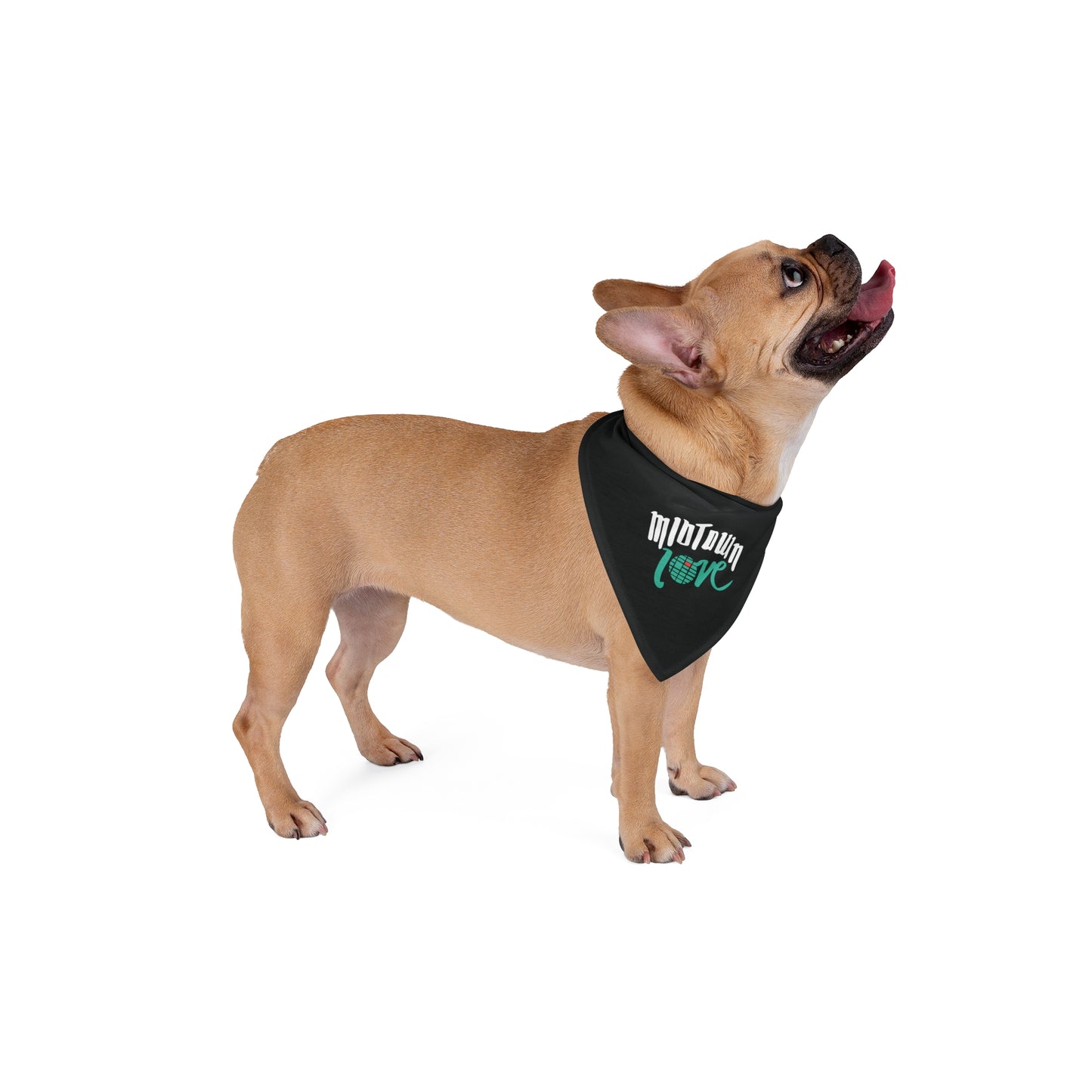 Midtown Love Pet Bandana