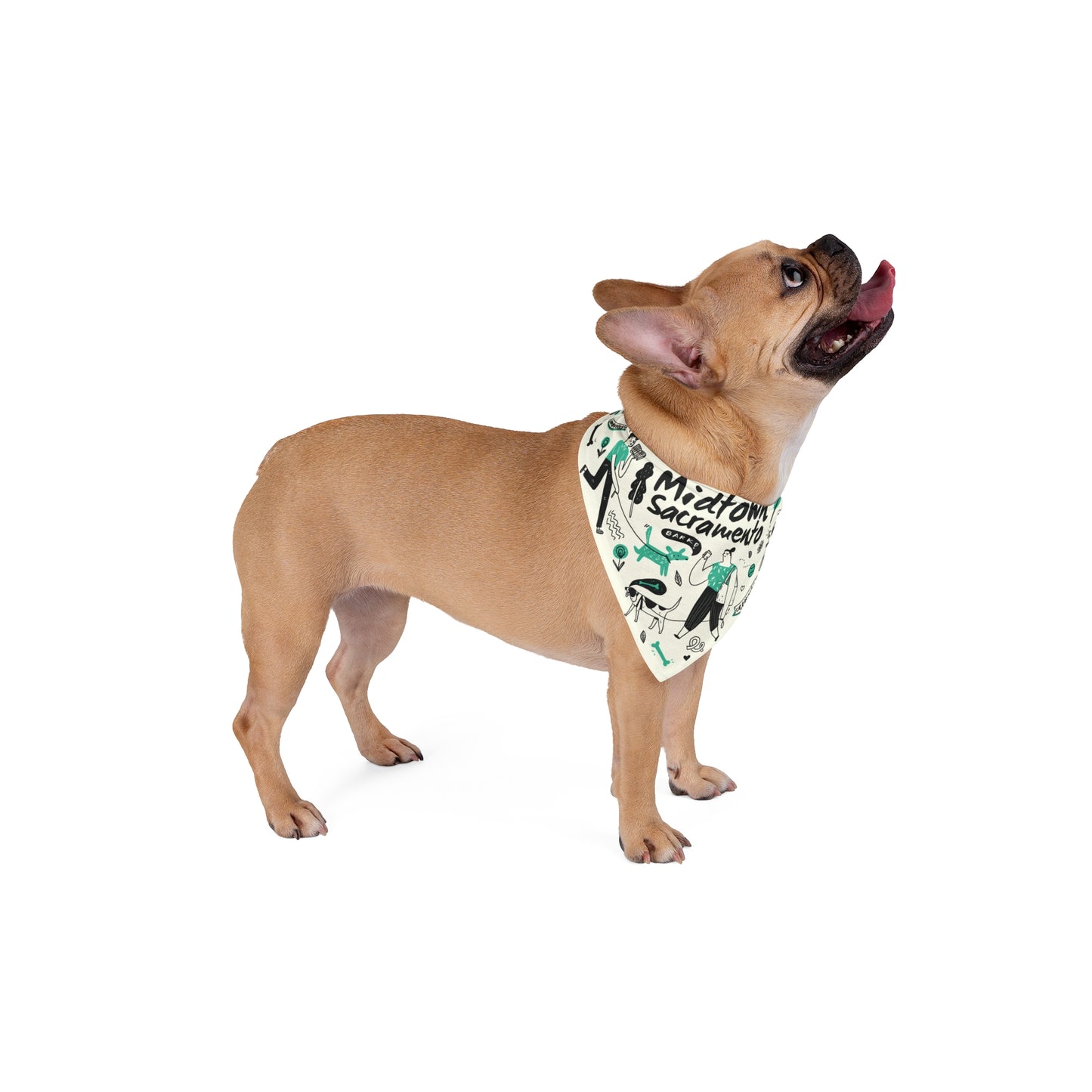 Midtown Doodle Pet Bandana